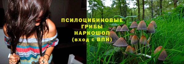 амф Медногорск