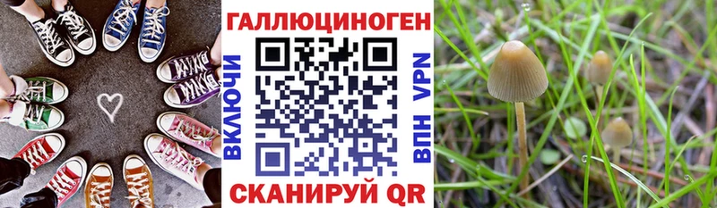 где купить наркоту  blacksprut ссылка  дарк нет состав  Анива  Псилоцибиновые грибы мухоморы 